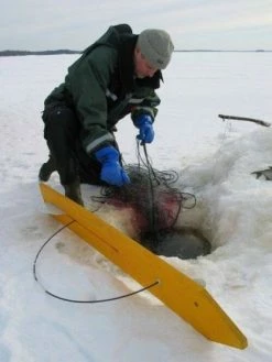 Veto Uittolaudan Varajousi ø 5 Mm -Perhovavat myymälä 6418252600567 2