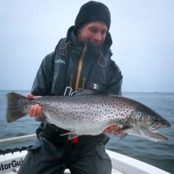 Vision Meri -perhovavat -Perhovavat myymälä IMG 0649 600x600 1