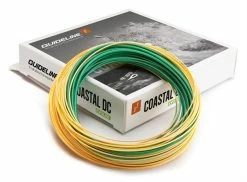 Guideline Coastal Evolve -perhosiima