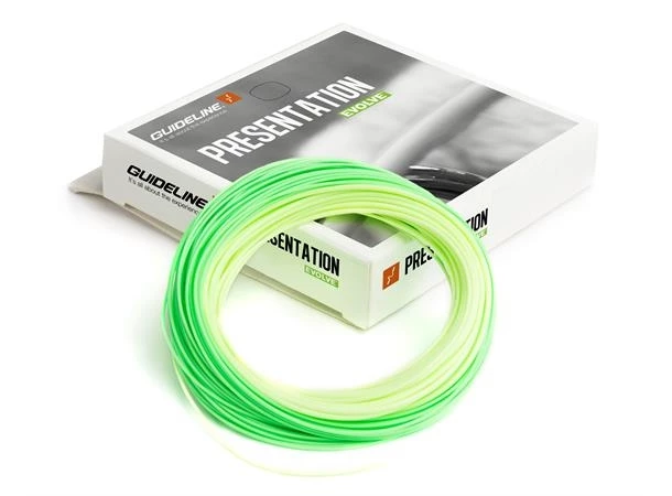 Guideline Presentation Evolve WF -perhosiima 3 Guideline Presentation Evolve WF -perhosiima